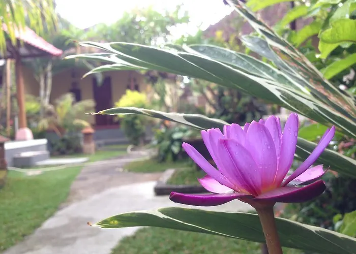 Dimuwa Gasthof Ubud