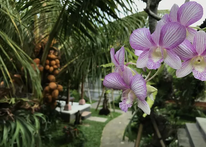 Dimuwa 3* Ubud