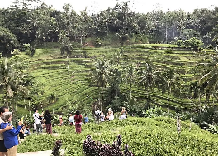 Dimuwa 3* Ubud